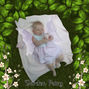 My Little Garden Fairy