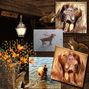 Poppy dog's gallery