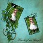 Little Angel