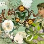Eclectic Collage