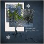 Snow Laden Branches