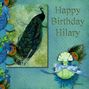 Happy Birthday Hilary