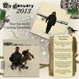 My January 2013