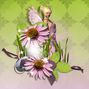 Fairy Work