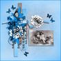 Butterfly Blue