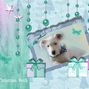 Scrapbook1