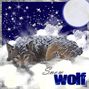 Snow wolf