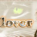 cat lover cat lover