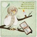 wise old owl