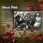 Summer picnic