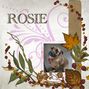 Rosie 2