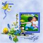beautiful Life