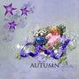 Autumn fruits
