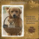 Friendship.craft Friendship.craft