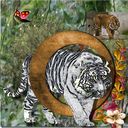 Tiger.craft