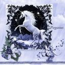 Pegasus.craft Pegasus.craft