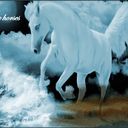 White horse2.craft White horse2.craft