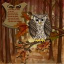 owl.craft