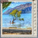 New Zealand New Zealand