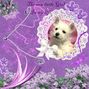 Scrapbook1