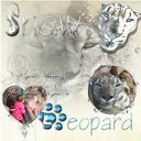 snow leopard