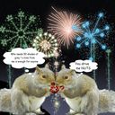 squirrel squirrel