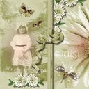 Daisy Daisy