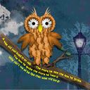owl