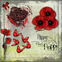 Poppies Poppies