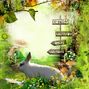Bun's paradise