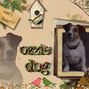 Ozzie