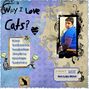 whyilovecats