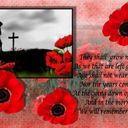 poppy day poppy day