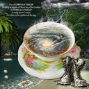 Storm In A Teacup Storm In A Teacup