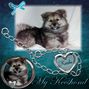 Keesha