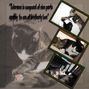 Scrapbook1