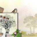 Banner Banner