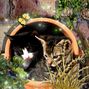 garden visitors