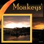 Monkeys' Wedding