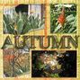 Autumn Gold