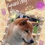 Polly Congrats card 2011