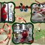 season greeting 2010