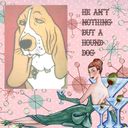 hound dog hound dog