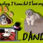 DANDY-Dogsgusting I know but I love my life!