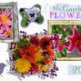 Flowers 2