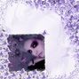 lilac butterfly