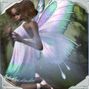 Multy Colour Fairy