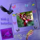 Birds and Butterflies