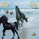 Horses frolicking in the water Horses frolicking in the water