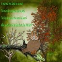 Wise Old Owl